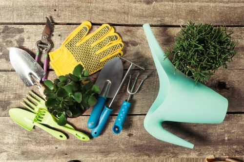 Professional hedge trimming service in Mill Hill