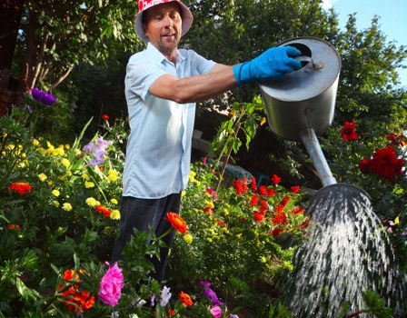 Clean and organized garden in Mill Hill