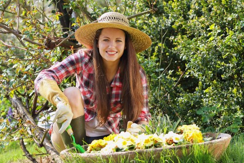 Regular lawn mowing in Mill Hill ensures a beautiful and healthy garden.