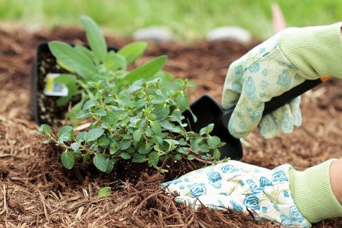 Professional landscaper designing a garden layout in Mill Hill