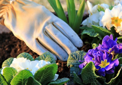 Eco-friendly minimalist garden design in Mill Hill