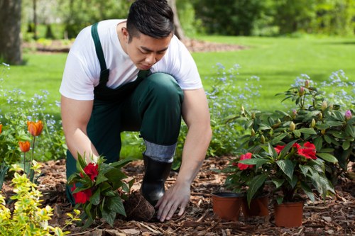 Worker operating a platform for elevated hedge maintenance