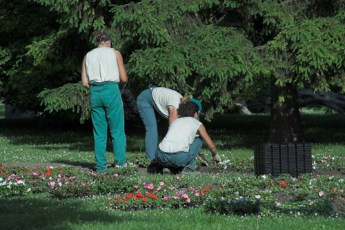 Tools used for hedge trimming in a Mill Hill garden