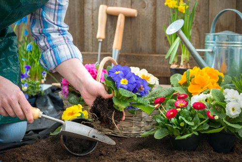 Professional landscaper enhancing curb appeal