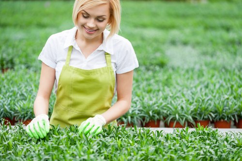 Sustainable landscaping practices in Mill Hill