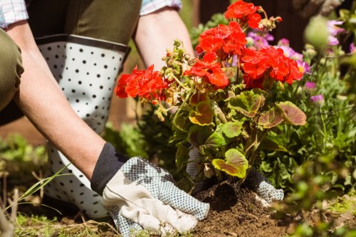 Lush summer garden with vibrant flowers