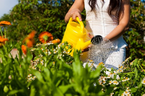 Seasonal lawn care tips to keep your Mill Hill lawn thriving.