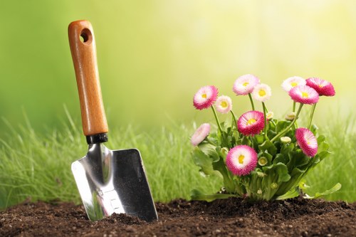 Professional lawn mowing services enhancing curb appeal in Mill Hill.