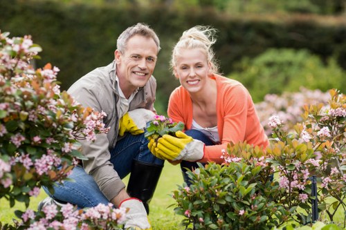 Personalized hedge trimming consultation